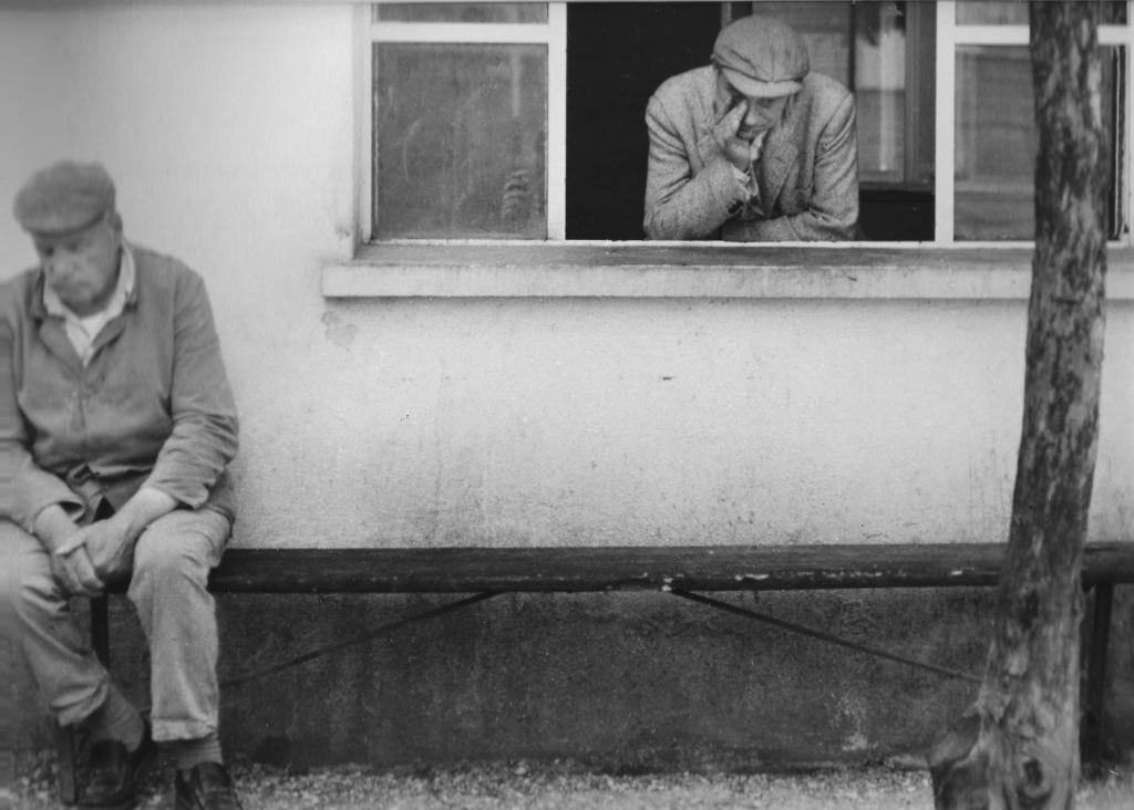 La baia del cemento&nbsp;abitato